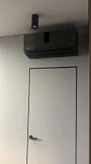 ��������� �������������. ����