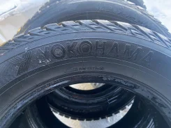 Yokoma. ������, ����������, 2020 ���, �/�, ����� �� 5 % ����