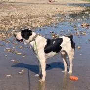 ������. ����