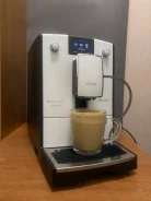����������. ����