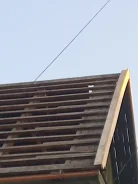 ������ ������. ����