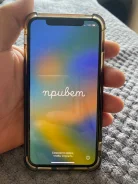 Apple iPhone X. �/�, 256 ��, ������, 4G LTE ����