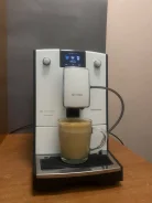 ����������. ����