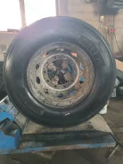GT Radial GSR225. �����������, 2024 ���, �/�, ����� 20 % ����