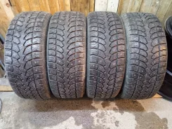 Evergreen IceTour i5. ������, ����������, 2022 ���, �/�, ����� �� 5 % ����