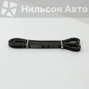 ������ ����������� Kangyue BELT 5545 ����