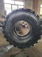 ����-1260. �����������, 2023 ���, �/�, ����� �� 5 %. ��� ����� �� �������� ����