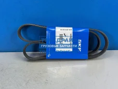 ������ ������������ ��� �������� ������ ����� ����� 8PK1365 SKF VKMV8PK1365HD VKMV8PK1365HD ����