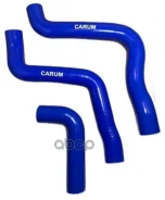 �������� ��������� ��� �/� ��� 2170 ������� 3 ��. � ������������� Carum Carum ���. 21721303002 21721303002 ����