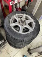 Triangle IcelynX TI501. ������, ����������, 2024 ���, �/�, ����� �� 5 % ����