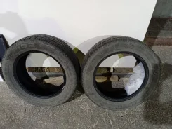 Presa PI02. ������, ��� �����, 2017 ���, �/�, ����� 70 % ����
