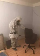 ����������� ����. ����