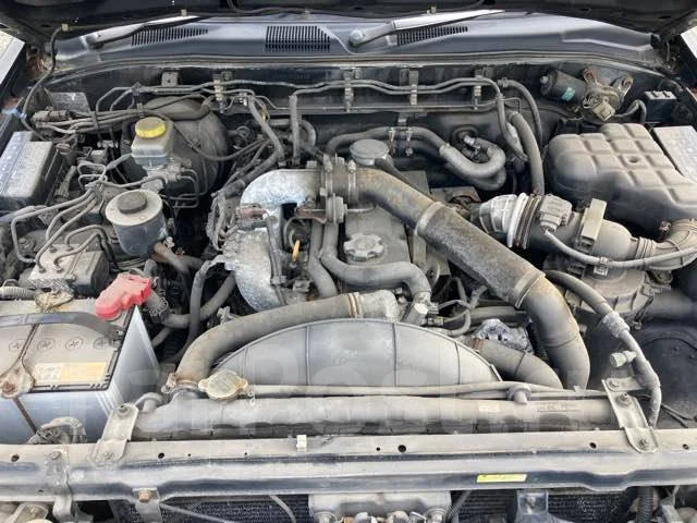 Nissan Terrano. RR50006646, QD32 ����