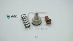 ��������� VAG A1/G5/Passat/Jetta/Touran/TIGU�AN 1.4T 08- Quattro Freni QF15A00256 QF15A00256 ����