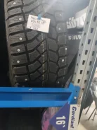 Viatti Brina. ������, ����������, 2023 ���, ����� ����