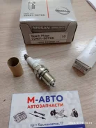 ����� ��������� Nissan (��������) 2240150Y05 ����
