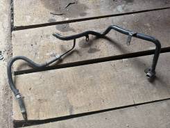 ����� ����������� �������� ����