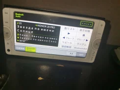 Pioneer ����