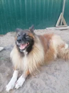 ������ � ������ ���� ����