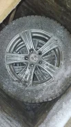 Nokian TR Forest. ������, ����������, 2019 ���, �/�, ����� 20 % ����