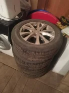 Triangle TR978. ������, 2024 ���, �/�, ����� �� 5 % ����