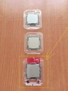 Intel Celeron G1610 ����