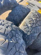 NorTec TR-184-1. ������, 2017 ���, �/�, ����� 40 % ����