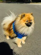 ����. ����