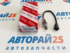 ������ ����������� (������-����) 8946506240 8946506240 ����