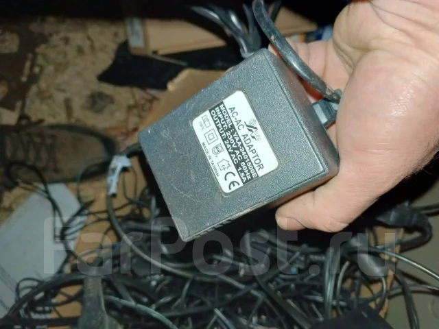 ����� �������. ����