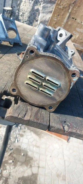 �����������. ����