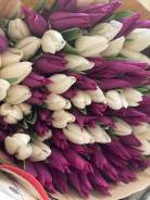 ��������. ����