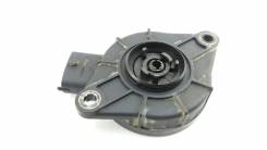 Colt  MN902962 MN902312    MN902962 