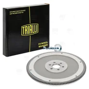 ������� ������������ Daewoo Nexia 1.5 16V 95- Trialli FW0505 FW0505 ����