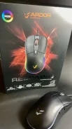 ���� �������. ����