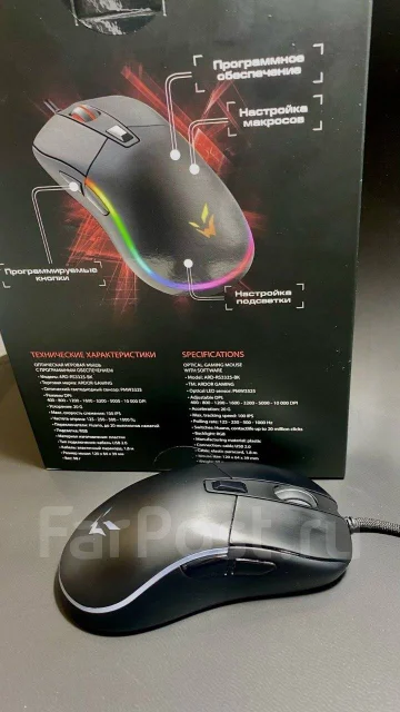 ���� �������. ����