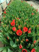 ��������. ����