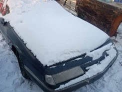 Citroen ZX ����