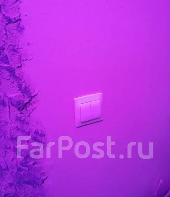 �������� �� ��� ���� ������ � ����������� ����