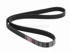 ������ ��������� Gates 6PK1113 6PK1113 ����