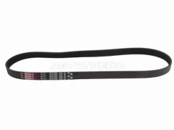 ������ ������������ Gates 6PK1000 6PK1000 ����