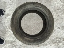 Continental Contact. ������, ����������, 2016 ���, �/�, ����� 50 % ����