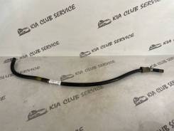    Kia Ceed 2015 254203X000 JD G4FD 254203X000 