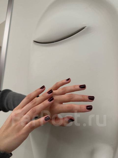   .   .. Belobrova Studio.   42 