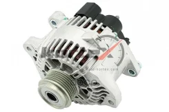 ��������� Kortex ���. KG061 KG061 ����