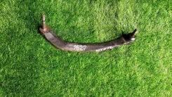 ����� Nissan Primera WTP12 QR20DE, ����� �������� 54501AU011 ����