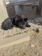 ����� �����. ����
