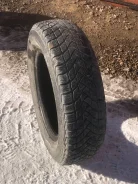 Delinte Winter WD6. ������, ��� �����, 2019 ���, �/�, ����� 40 % ����