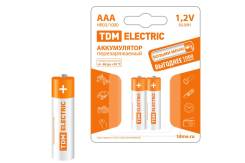  AAA-1000 mAh Ni-MH BP-2 TDM (2 ) 