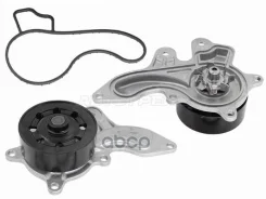 ����� �������� ���������� Toyota C-HR 16-23 / Corolla 12-22 8Nrfts Sat ���. ST-61-0079 ST610079 ����